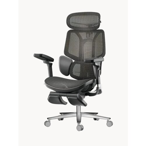 Эргономичное кресло компьютерное Hbada E3 Pro 4 E301BPE с подставкой для ног 121960₽