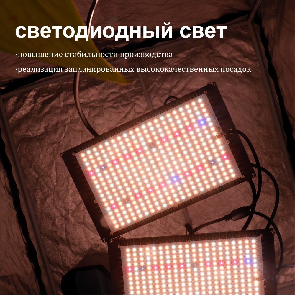 Светильник для растений Mean Well Quantum Board, 240 Вт, диоды Samsung LM301h