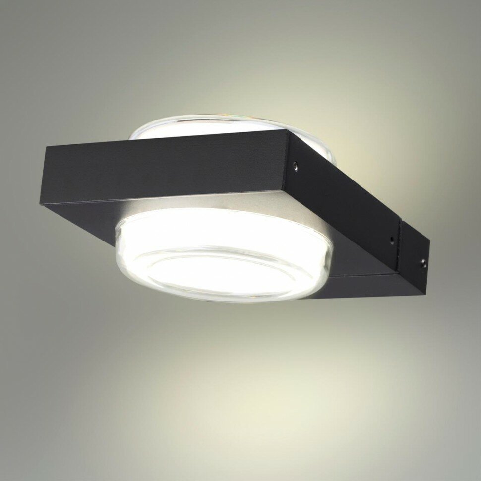 Уличный настенный светодиодный светильник Odeon Light Nature Vart 6654/6WL - фото №5