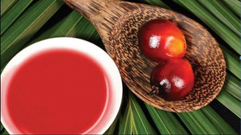 Масло растительное Palmoil Africa, нерафинированное, чистое, Hot Press, 0,5 л