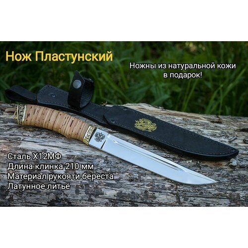 Туристический нож ARMADA KNIVES Пластунский Х12МФ, береста и дерево, 350 гр