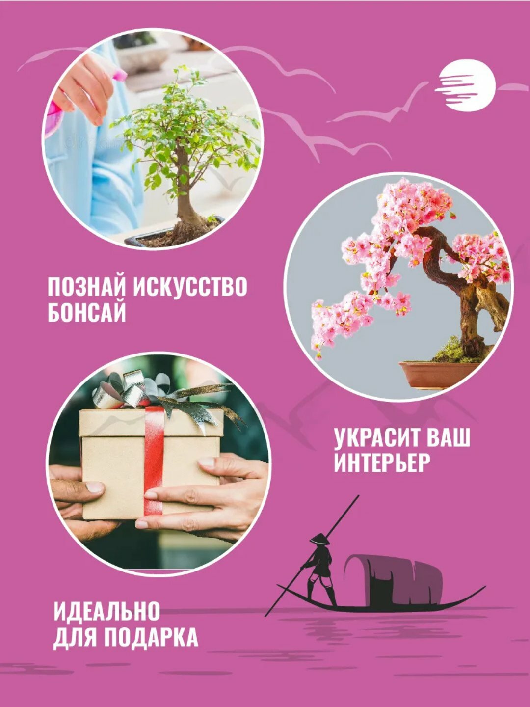 Набор для выращивания растений деревьев бонсай, Сакура — фото 1