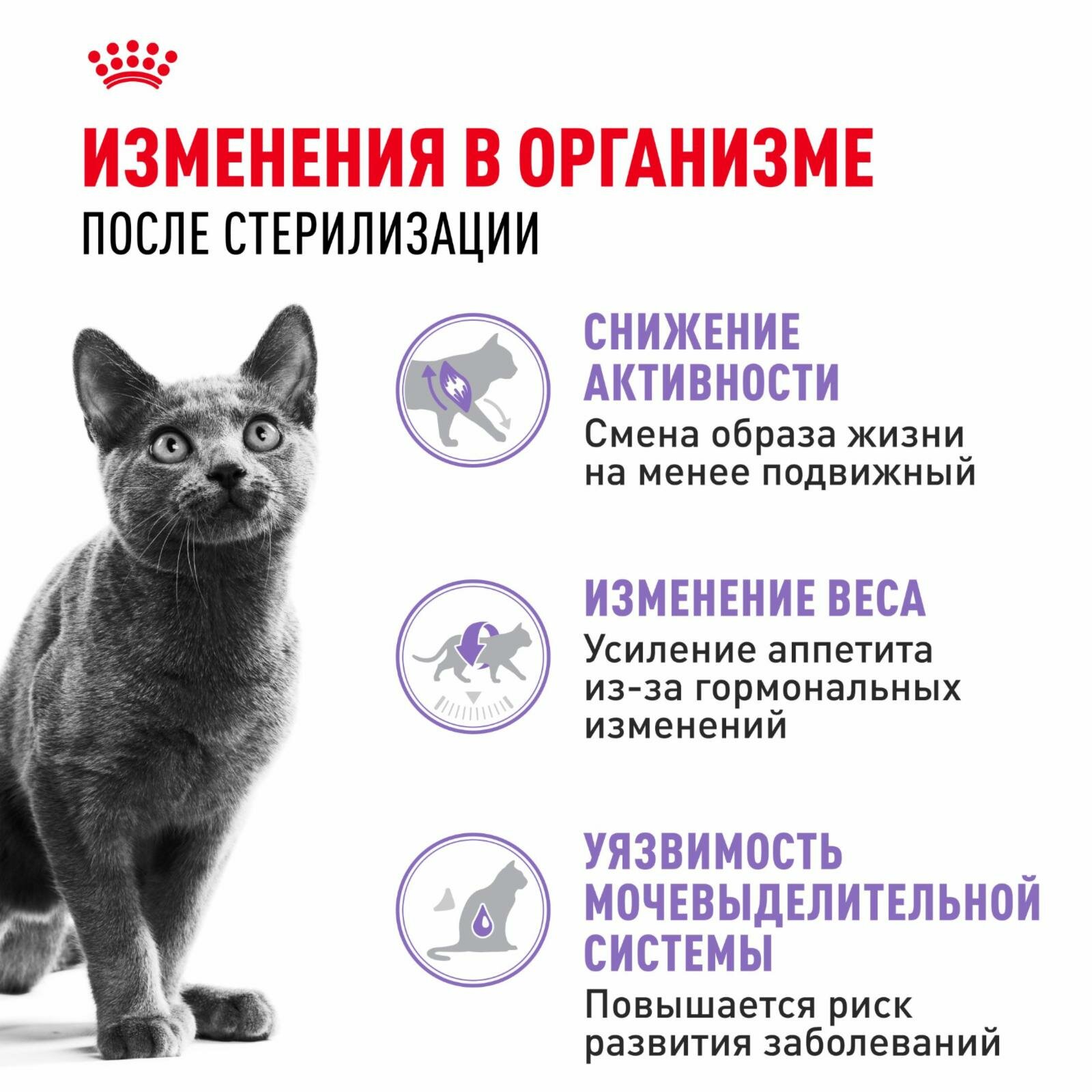 Корм сухой сбалансированный для взрослых стерилизованных кошек, Sterilised 37 — фото 1