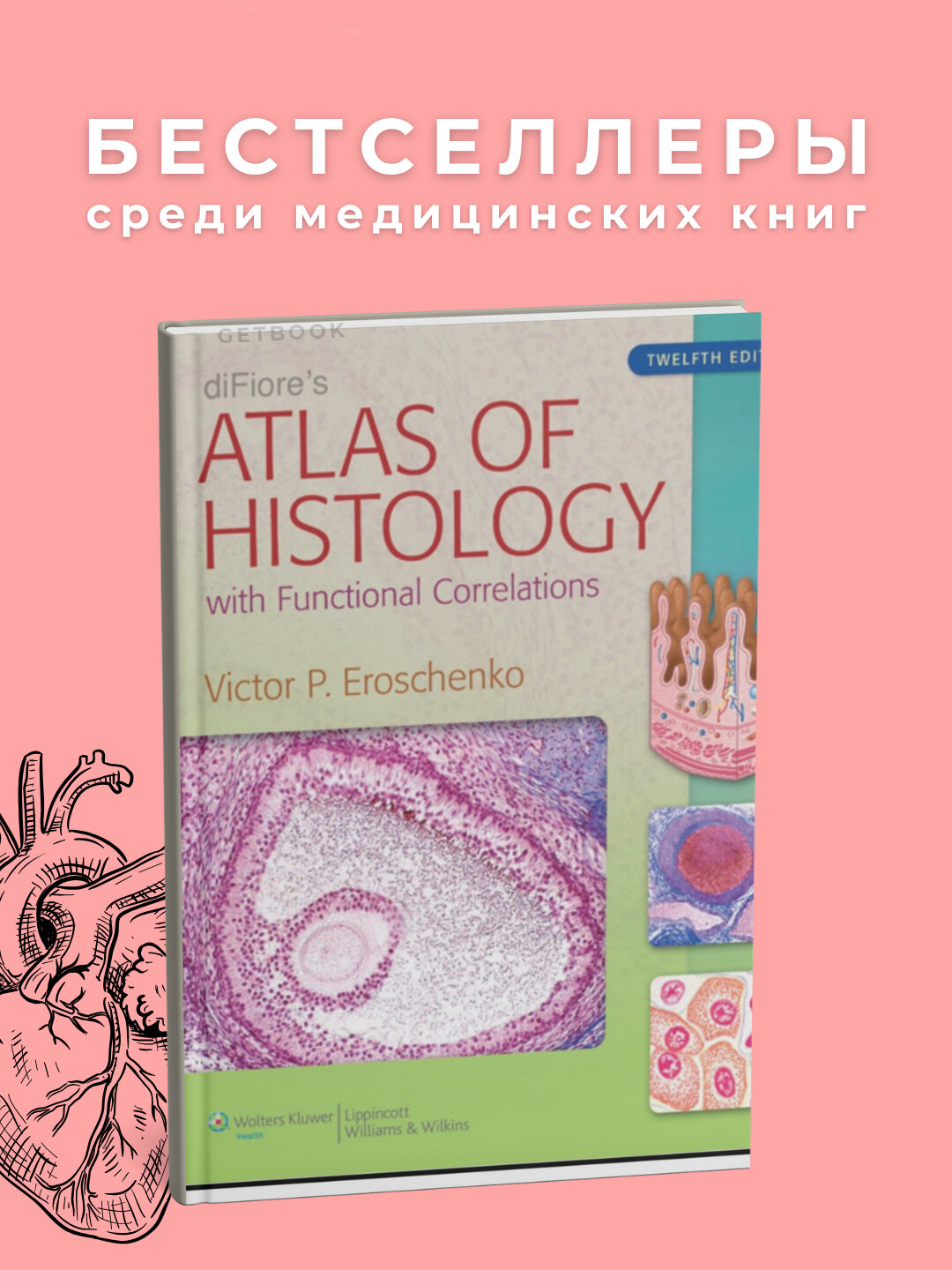 Книга "Histology" Fiores, 2025 год, 619 страниц, мягкий переплет