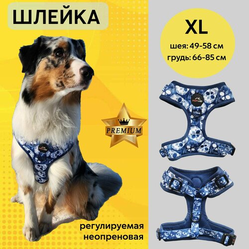 Неопреновая анатомическая шлейка, Краниум, XL