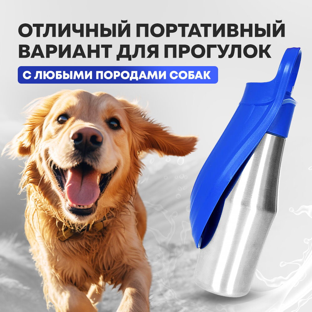 ΠΠ΅ΠΌΠΎΠ½ΡΡΡΠ°ΡΠΈΡ ΠΈΡΠΏΠΎΠ»ΡΠ·ΠΎΠ²Π°Π½ΠΈΡ ΠΏΠΎΠΈΠ»ΠΊΠΈ ΡΠΎΠ±Π°ΠΊΠΎΠΉ Π²ΠΎ Π²ΡΠ΅ΠΌΡ ΠΏΡΠΎΠ³ΡΠ»ΠΊΠΈ Π² ΠΏΠ°ΡΠΊΠ΅