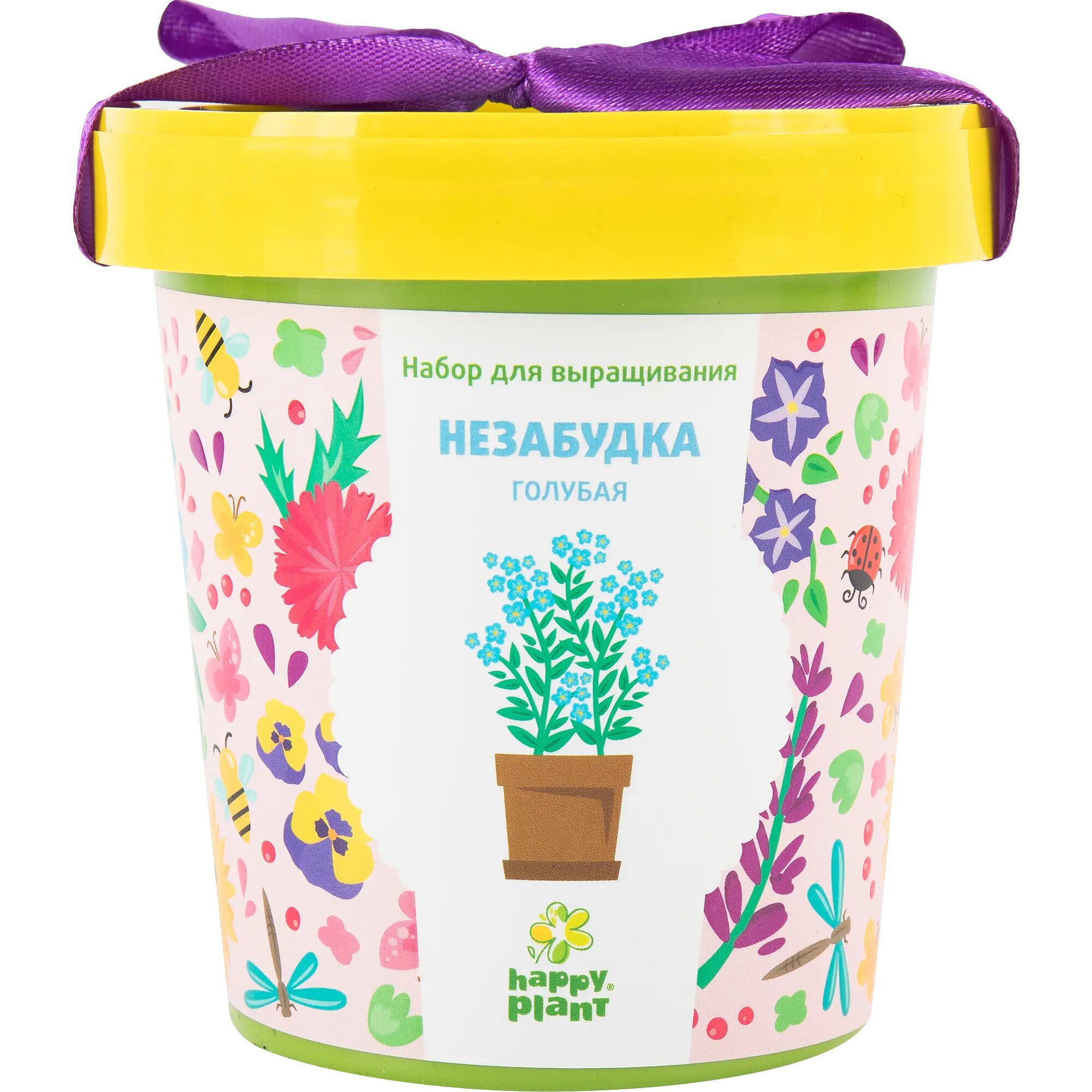Незабудка голубая в горшке
