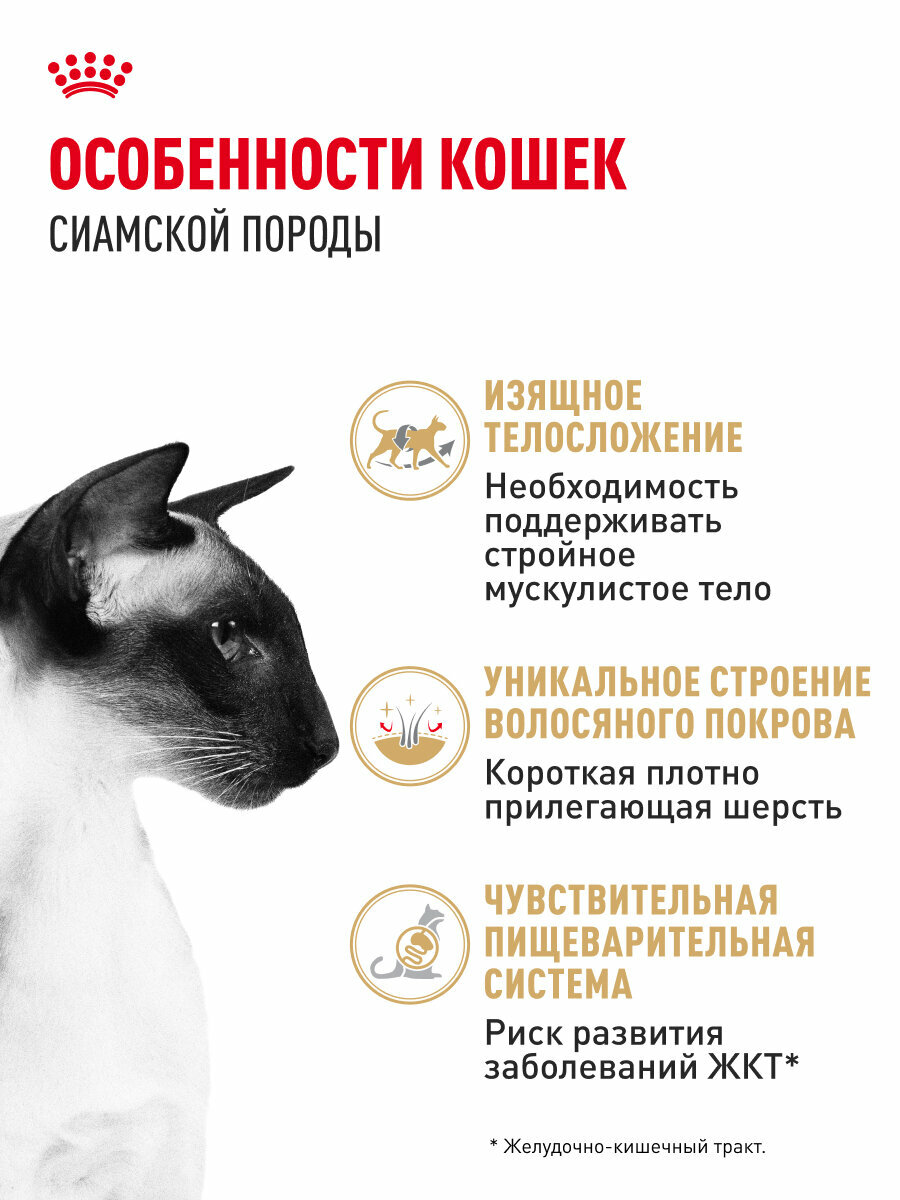Изображение Сухой корм для кошек Royal Canin Adult для сиамской породы, 2 кг