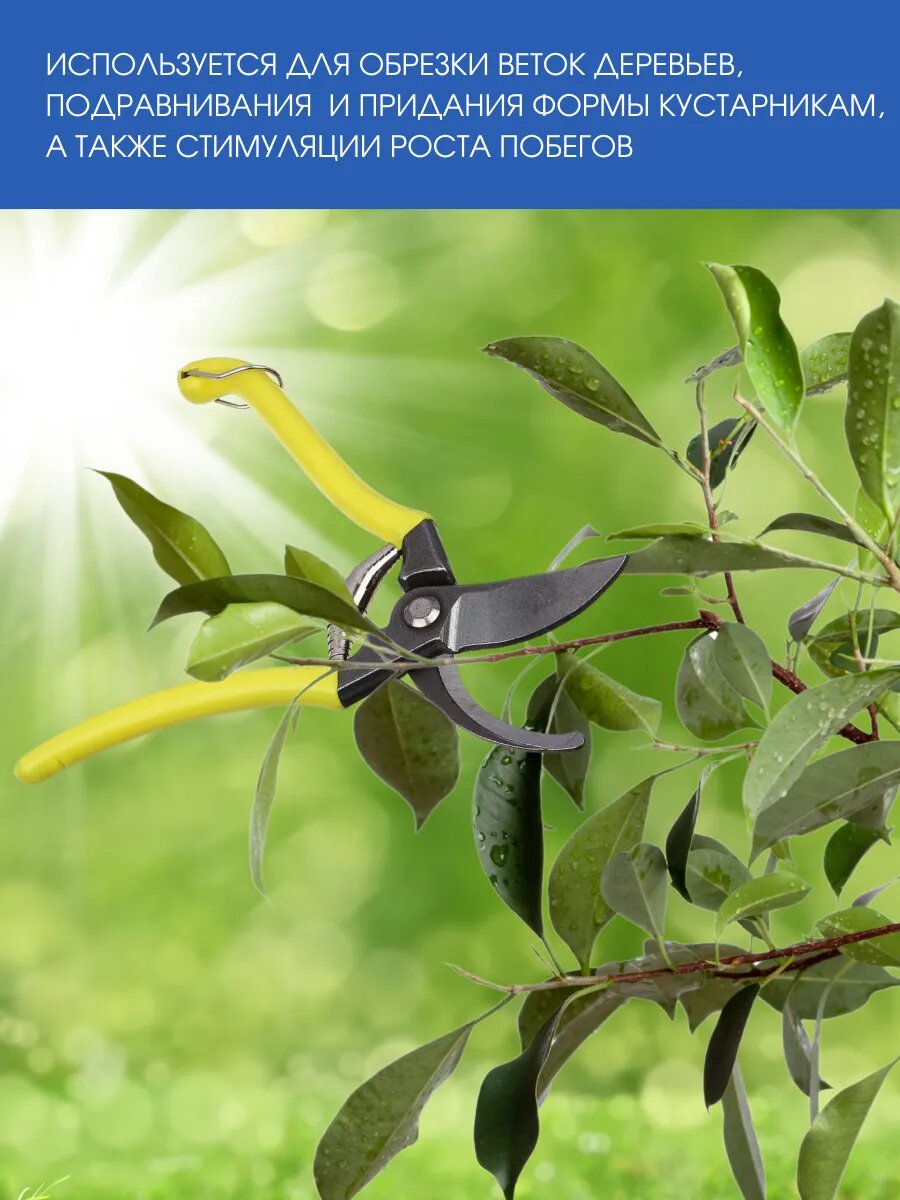 Секатор Inbloom, сталь, фиксатор лезвия, возвратная пружина, оксидированное покрытие. — фото 1