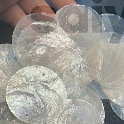 Изображение товара 100 шт. круглые натуральные ракушки, морские раковины капиз, 2-дюймовые ракушки устриц