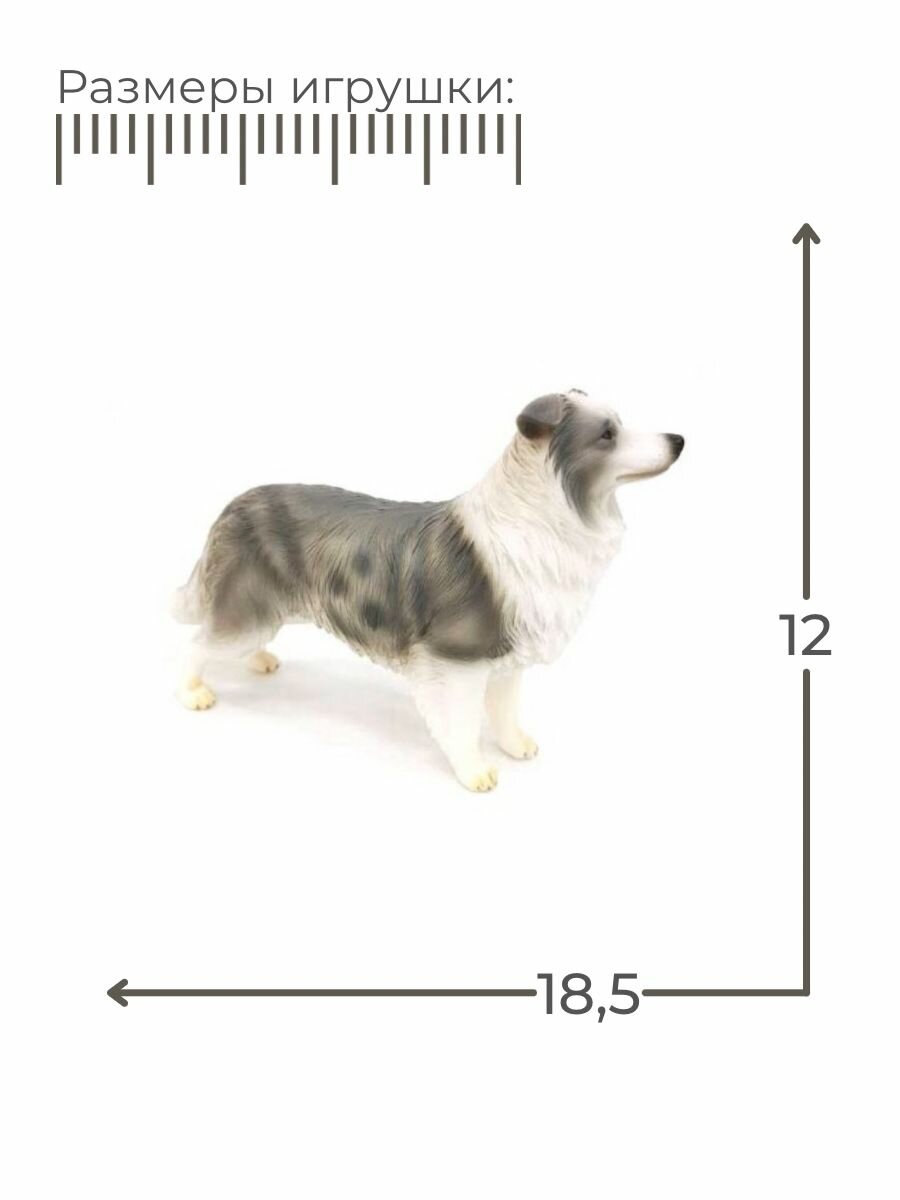 Фигурка Бордер Колли / Фигурка игрушка — фото 1