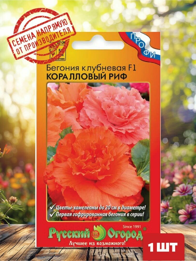 Семена растения бегония клубневая коралловый риф f1