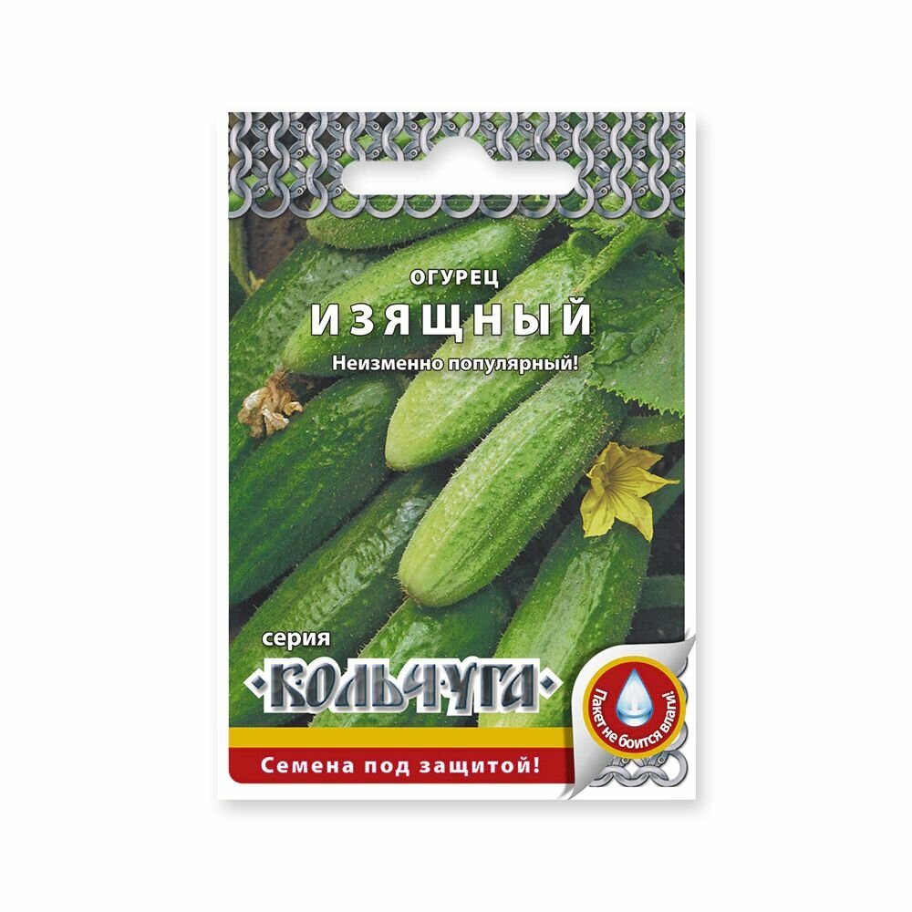 Огурец Изящный Кольчуга NEW 05 г