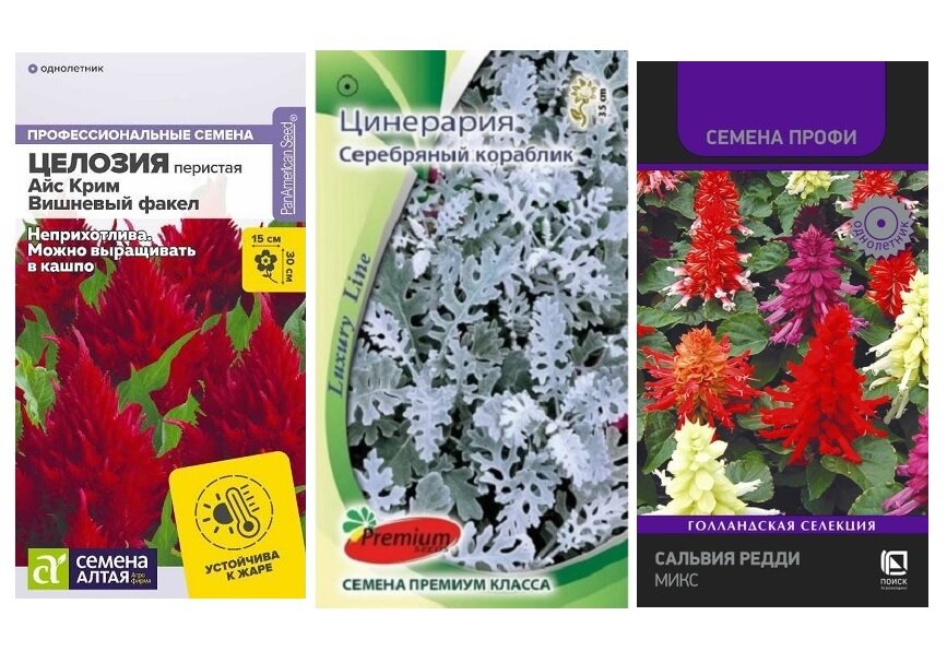 Набор Весеннее очарование (Целозия Айс крим Вишневый факел Цинерария Серебряный кораблик Сальвия Редди Микс)
