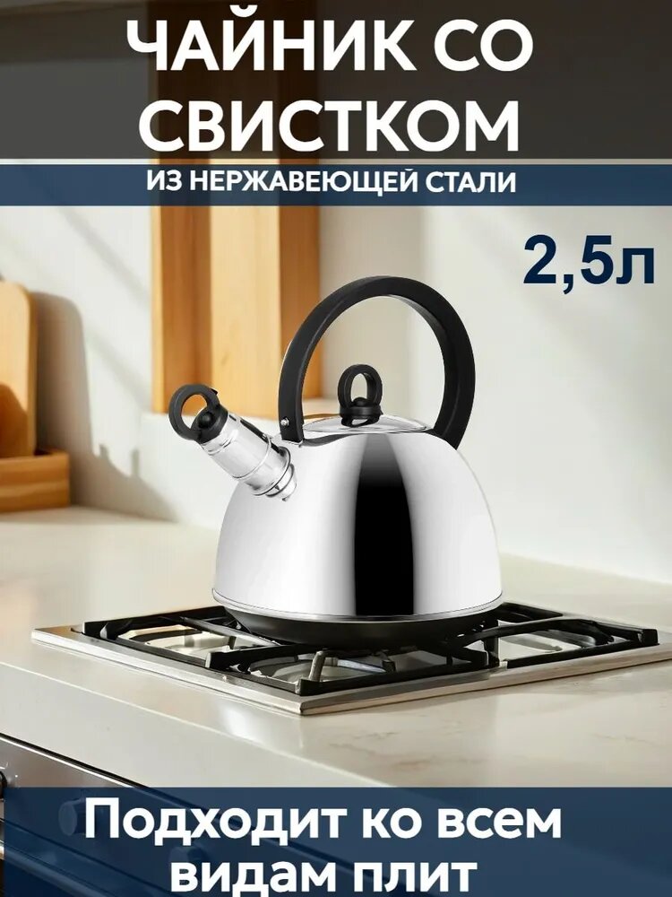 Чайник со свистком 2,5 л Кампо/ чайник для плиты/ чайник металлический/ для индукционной плиты