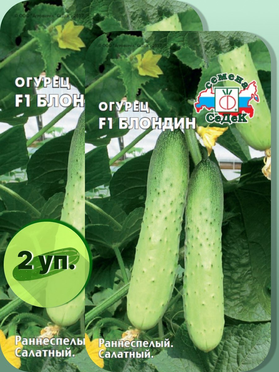Семена огурца  СеДеК  блондин F1  2 уп  
