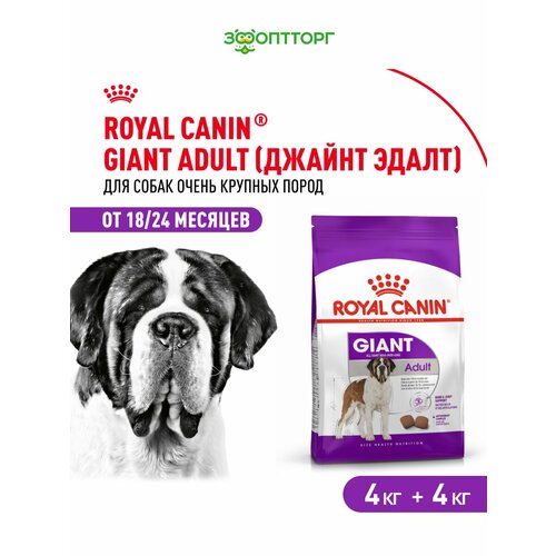 Royal Canin Giant Adult для взрослых собак гигантских пород Птица, 4 кг. х 2 шт