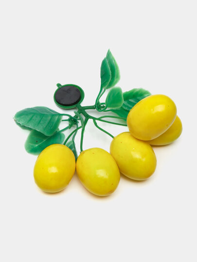 Магниты для холодильников "Фрукты", пластик, в виде фруктов, высота 10-12 см — фото 1