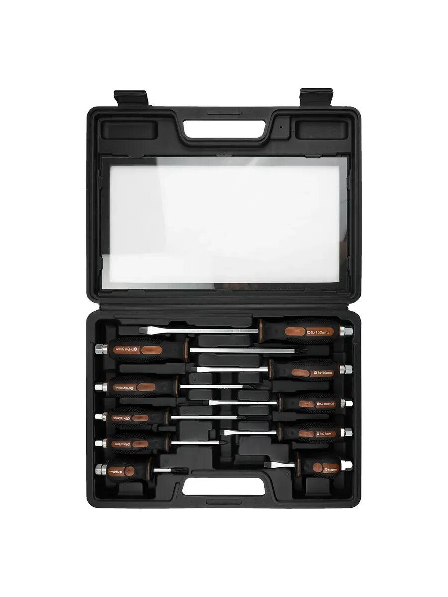 Набор ударных отверток из 10 предметов в кейсе (SL + PH)