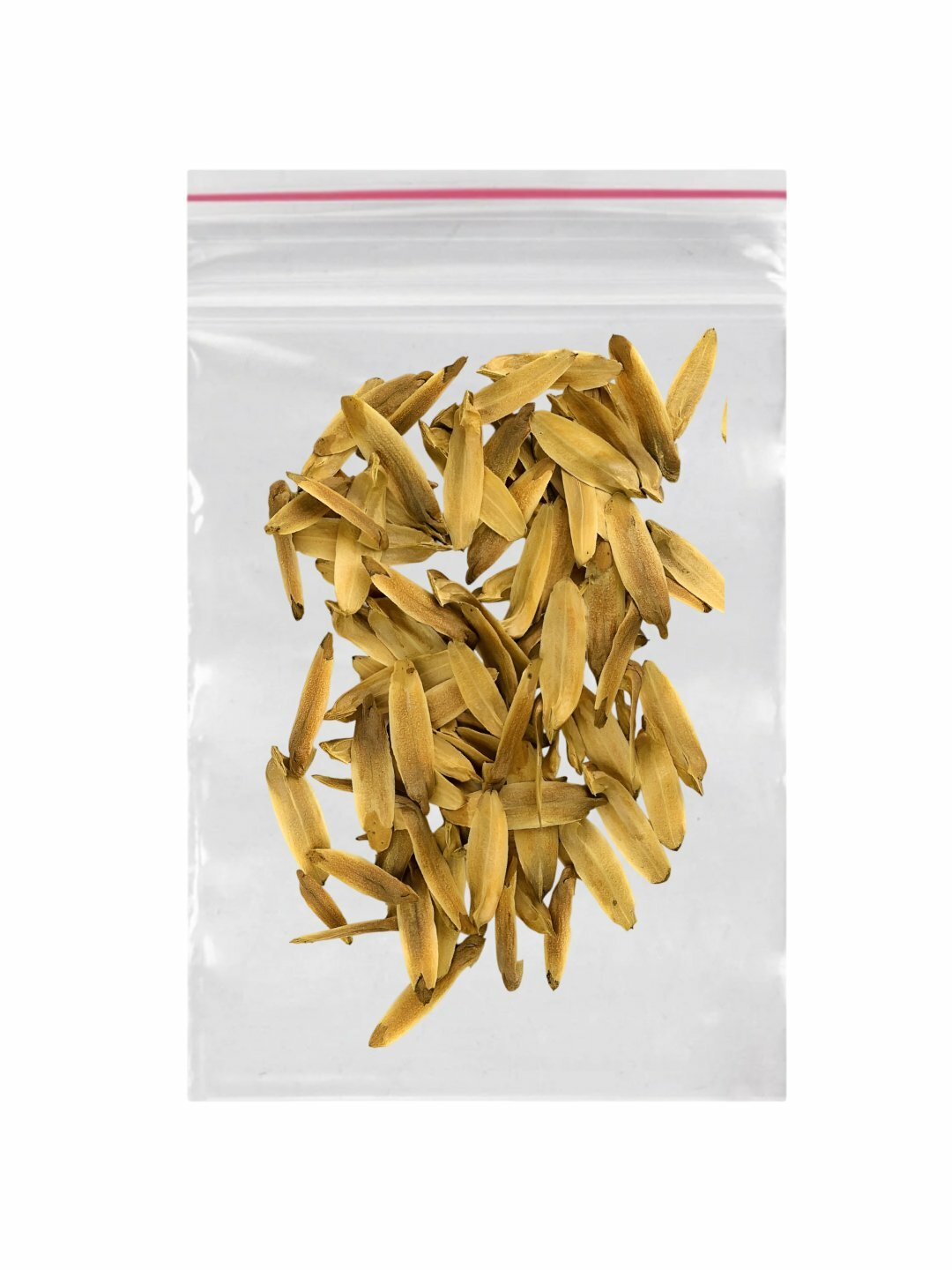 Семена Лириодендрон Тюльпановое дерево, Тюльпаны, растущие на дереве — фото 1