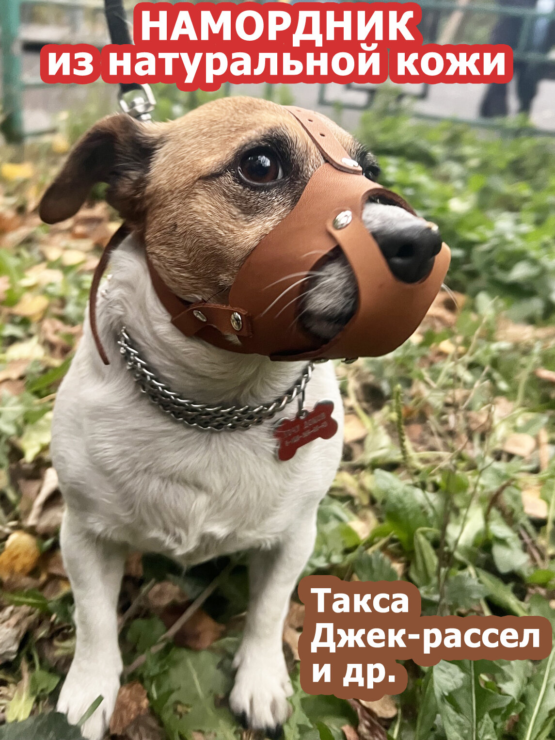 Намордник для мелких пород собак джек-рассел спаниеля корги