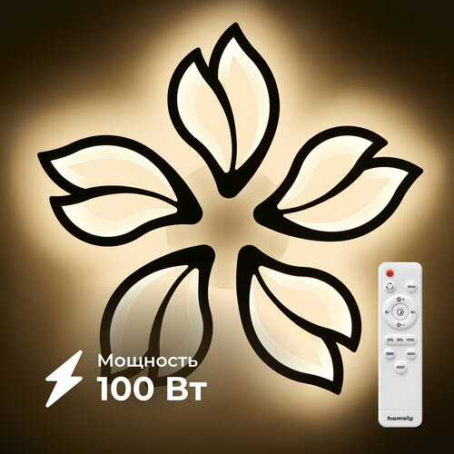 Люстра светодиодная Homsly 100 Вт с пультом управления ACL_012 2924₽