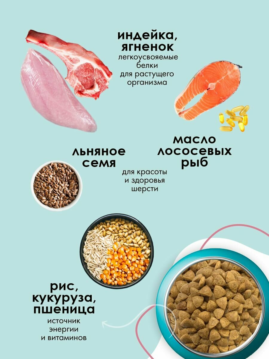 Сухой корм для щенков, гипоаллергенный, ягненок и индейка, 2 кг — фото 1