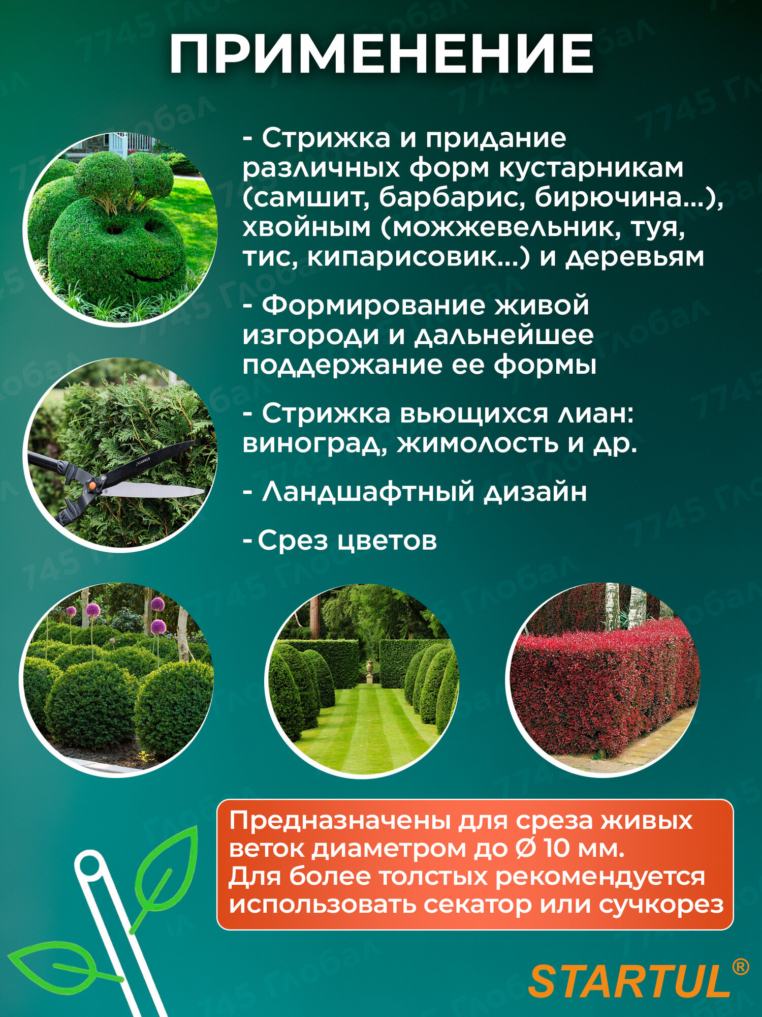Ножницы садовые кусторез STARTUL Garden ST6096-02 для кустов и живой изгороди, длина 58 см — фото 1