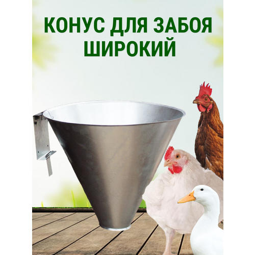 Конус для забоя бройлера, кур, уток, птицы широкий с креплением