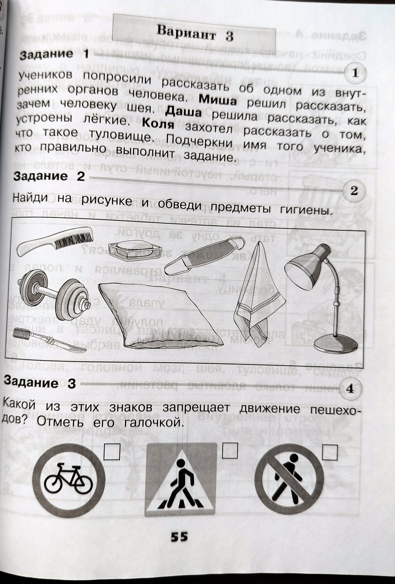 Плешаков. Окружающий мир. Проверочные работы. 2 класс /ШкР - фото №5