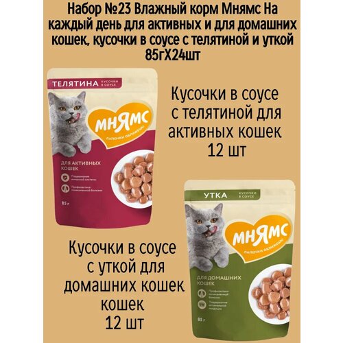 Набор №23 Влажный корм Мнямс для активных домашних кошек, кусочки в соусе с телятиной и уткой, 24 шт х 85 гр