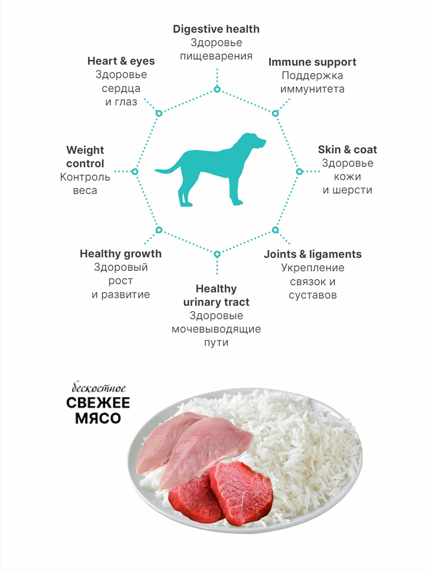 Сухой корм для собак Premier Dog Fresh Lamb&Turkey ADULT MAXI (Свежее мясо ягненка с индейки для взрослых собак крупных пород) 10 кг. — фото 1