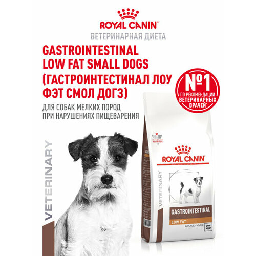 Сухой корм для собак Royal Canin Gastrointestinal Low Fat Small Dog (Гастроинтестинал Лоу Фэт Смол Дог), при склонности к избыточному весу (для мелких пород), 1 кг