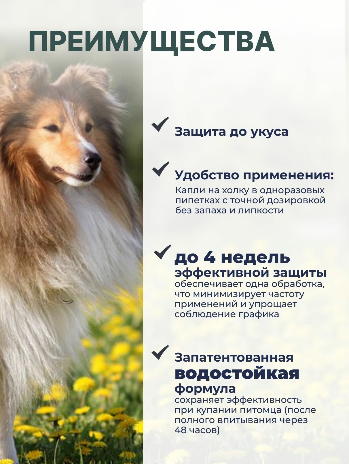 От клещей блох комаров репеллент Для собак 25+кг Атакса Капли на холку — фото 1