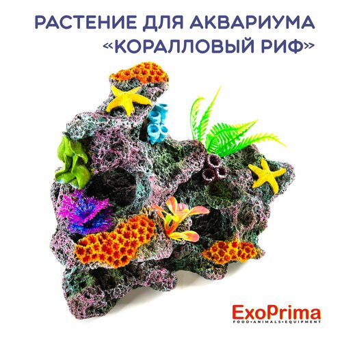 EXOPRIMA Декорация для аквариума "Коралловый риф", 17х10х15см