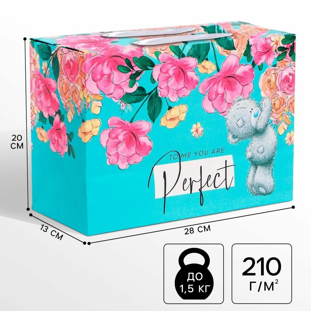 Пакет-коробка 28 х 20 х 13 см 