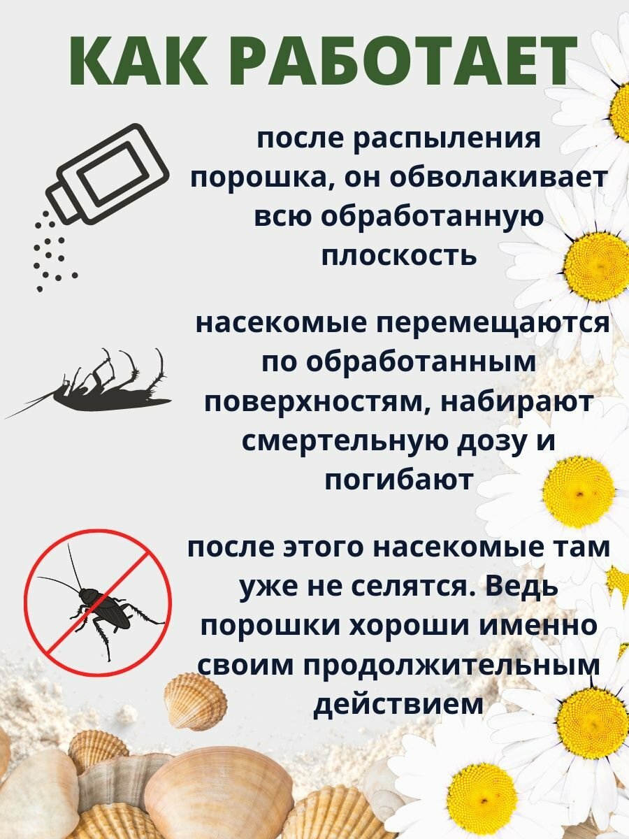 Средство от тараканов, клопов, муравьев, блох, отрава против насекомых ЭКО Абсолют, 500 мл — фото 1