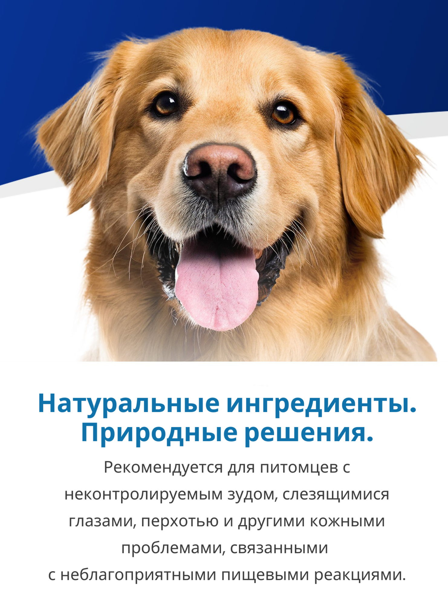 Сухой корм Farmina Vet Life UltraHypo, для взрослых собак при пищевой аллергии и атопии, диетический, рыба, 12кг — фото 1