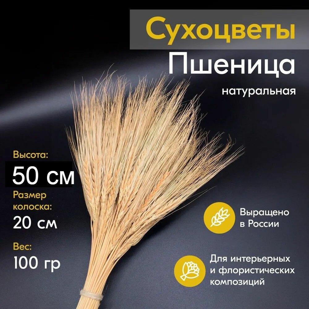 Сухоцвет пшеница натуральная для декора букет из сухоцветов