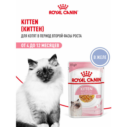 Влажный корм в желе Royal Canin Kitten Jelly (Киттен Желе) для котят до 12 месяцев, 28*0,085 г