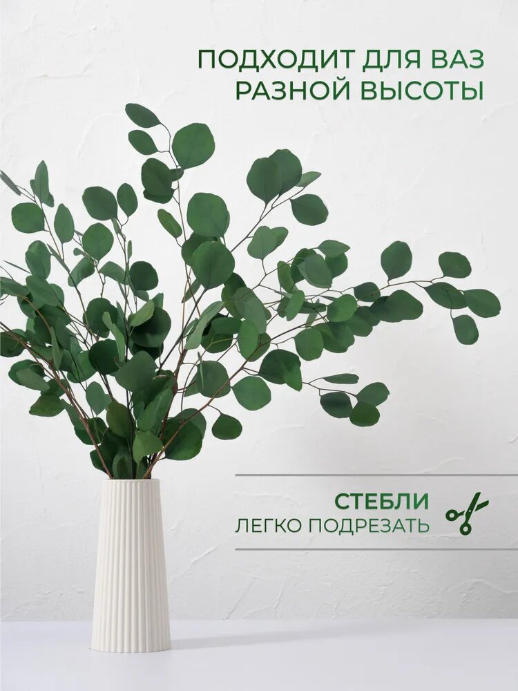 Deneman Стабилизированные цветы Плющ, 242 гр, 4 шт