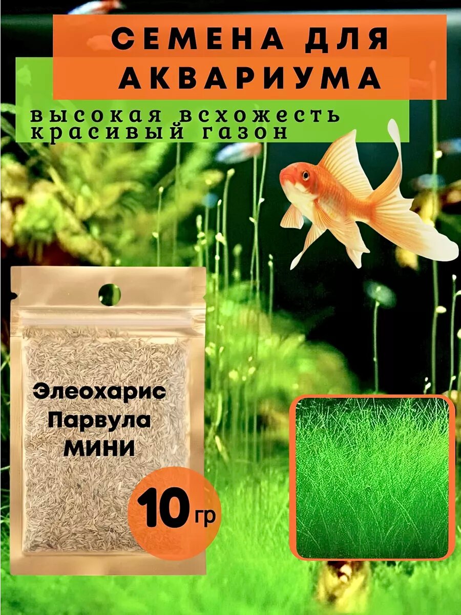 Семена растений для аквариума "Элеохарис Парвула мини"