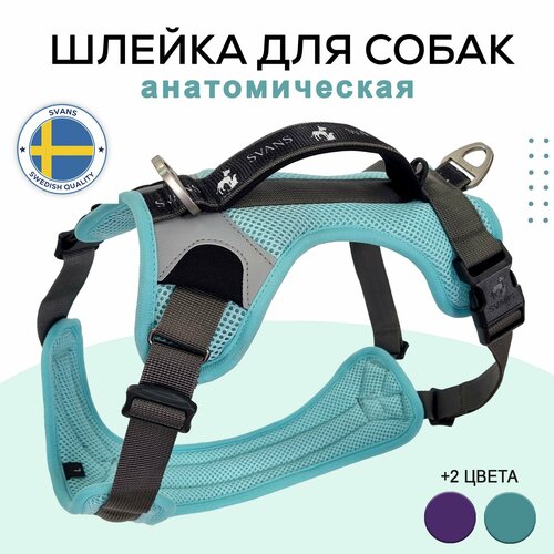 Шлейка для собак анатомическая со светоотражающими элементами, голубая, размер S