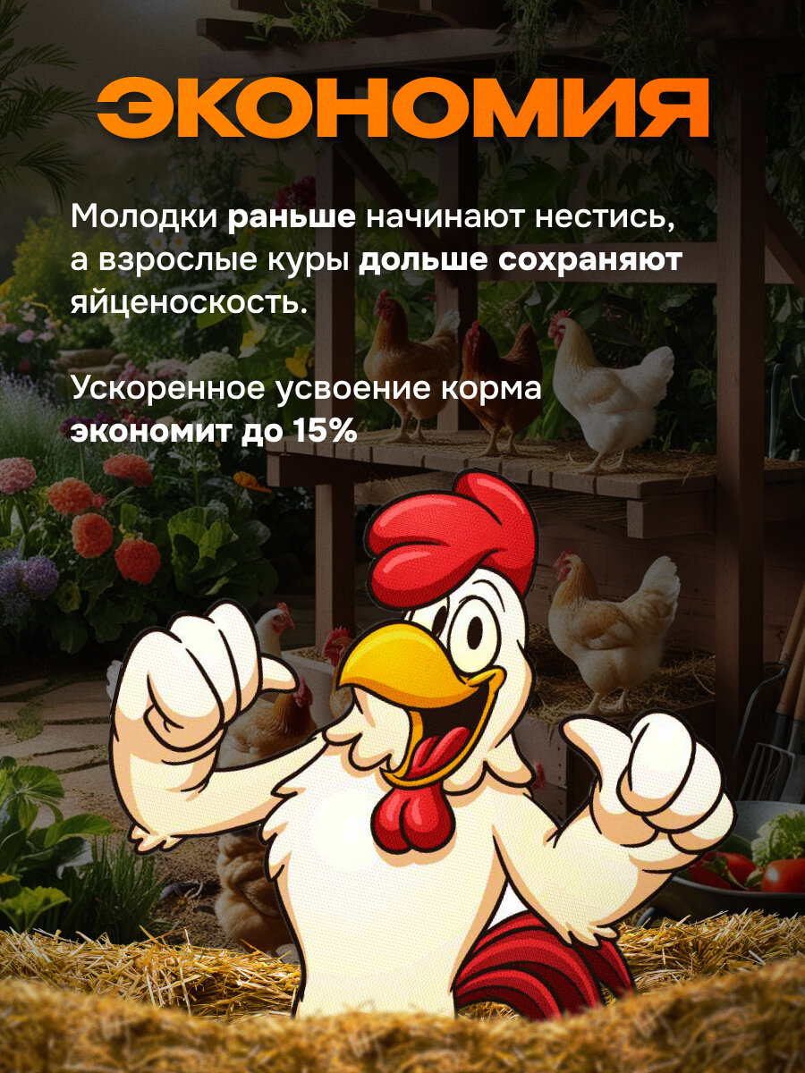 Витамины Здравур Несушка "Ваше хозяйство" для яйценоскости птиц, 1.5 кг — фото 1
