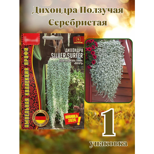 Дихондра Ползучая Серебристая 1уп