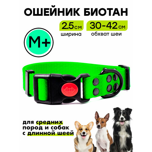 Ошейник из биотана 30-42 см (M+), 25 мм, Woofy "Iron", водостойкий, для небольших и средних собак, зеленый