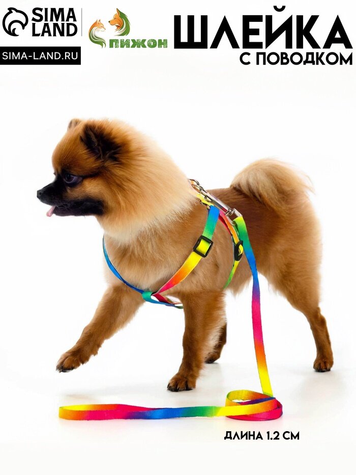 Комплект «Радуга», капрон, поводок 120×1 см, шлейка 24-34×1 см