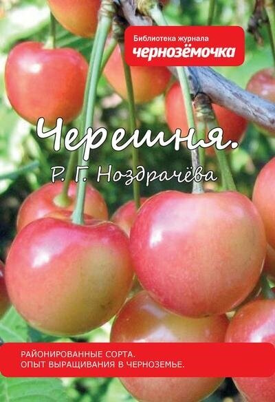 Черешня | прививка И перепрививка плодовых культур И декор кустарн