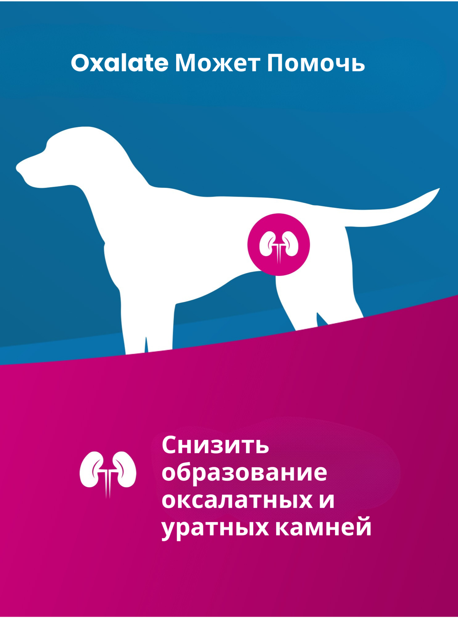Препараты От Мочекаменной Болезни Сухой корм Farmina Vet Life Oxalate, для собак с мочекаменной болезнью уратного, оксалатного и цистинового типа, диетический, злаки, 2кг