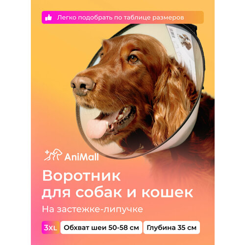 Воротник защитный ветеринарный для собак и кошек № 35 см, на липучке / AniMall